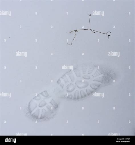 Boot print in snow hi-res stock photography and images - Alamy