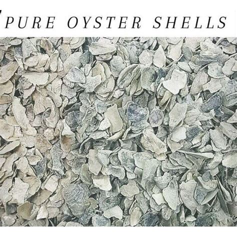 Oyster Shells Calcium Grit For Birds And Chickens Bulk