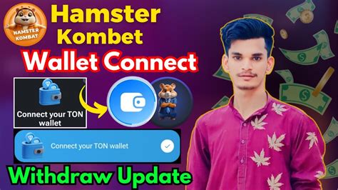 Hamster Kombat Wallet Connect Kaise Karen Hamster Kombat Withdraw