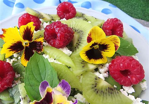 Sa Atka Z Bobem Malinami I Kiwi Doradcasmaku Pl