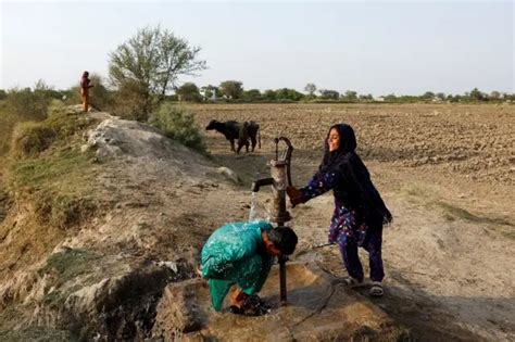 चरम मौसम भारत र पाकिस्तानमा तापक्रम ५० डिग्री सेल्सिअस नजिक पुग्दा Bbc News नेपाली