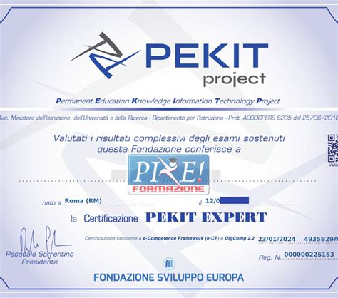 Certificazione Pekit Expert Digcomp 2 2 Corsi Per Concorsi