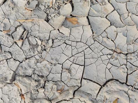 Sequ A Grietas En La Tierra Desastres Naturales Desastre Ambiental