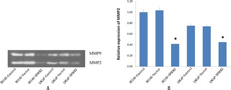 Upregulation Of SPOCK2 Inhibits The Invasion And Migration Of Prostate