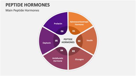 Peptide Hormones PowerPoint and Google Slides Template - PPT Slides