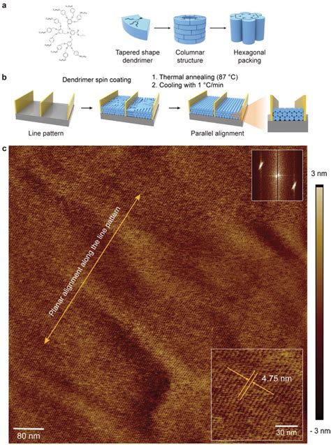 Self‐assembly And Alignment Control Of Dendrimer Cylinders And Download Scientific Diagram