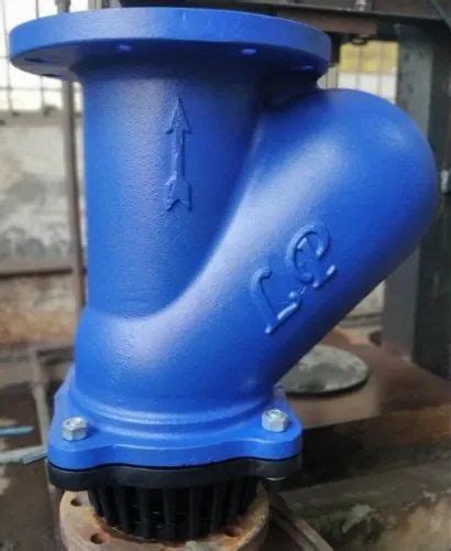 Blue Ball Type Foot Valve Cast Iron Body Screwed End Size To