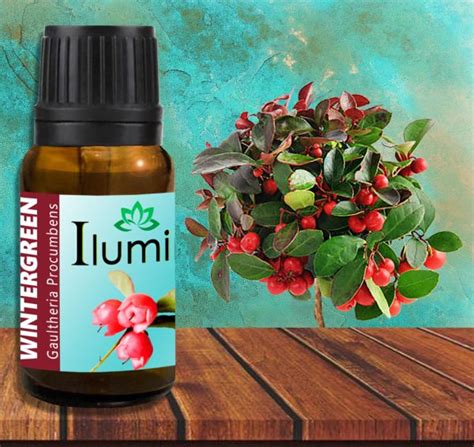 Aceite Esencial De Wintergreen Ml Djinn Guatemala