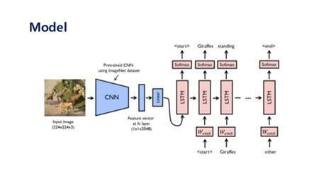 A Compressive Guide To Build Image Caption Generator