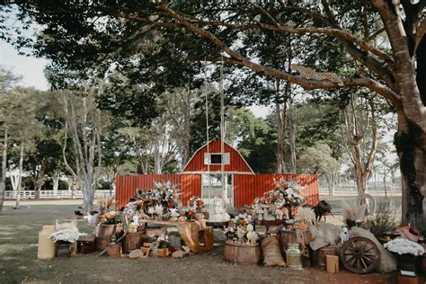 Foto Filho de Biah Rodrigues e Sorocaba Theo ganhou festa temática