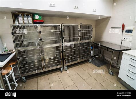 Cages Inside A Veterinary Building For Animals Empty Room Stock Photo