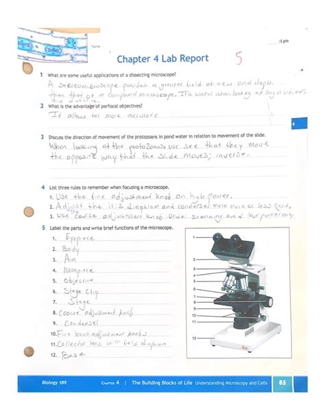 Chapter 4 Lab Report Page 85 BIOL 189 Studocu