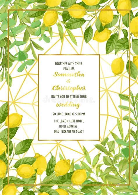 Luxury Wedding Invitation Card With Lemon Brunches And Herbs Stock