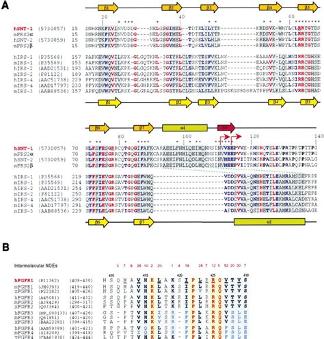 Protein Sequence Homology Alignment A Sequence Alignment Of Ptb