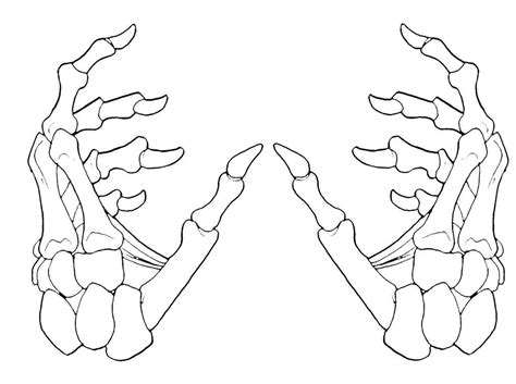 Printable Skeleton Hands - Printable Word Searches