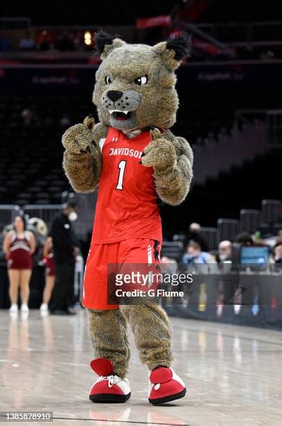 52 Fordham Mascot Stock Photos, High-Res Pictures, and Images - Getty Images