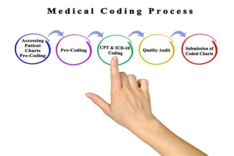 Medical Cpt Codes What Is Cpt Medical Billing Analysts