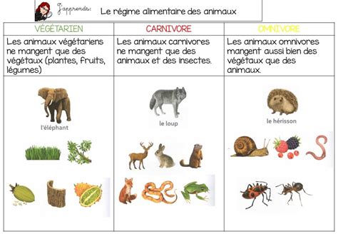 Le R Gime Alimentaire Des Animaux Montessori Science Learn English