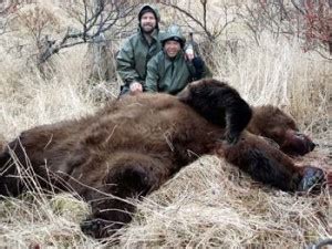 Kodiak Bear Hunting Guide