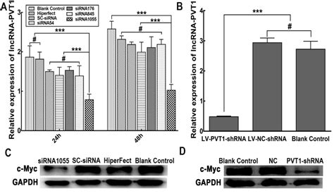 Knockdown Of Long Non‑coding Rna Pvt1 Inhibits The Proliferation Of