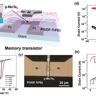 A Schematic 2D Cross Section Of Our Bottomgate NMoTe2 FET With 20 Nm