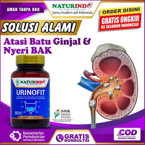 Jual URINOFIT OBAT GINJAL BATU GINJAL KENCING NANAH ISK KENCING SAKIT