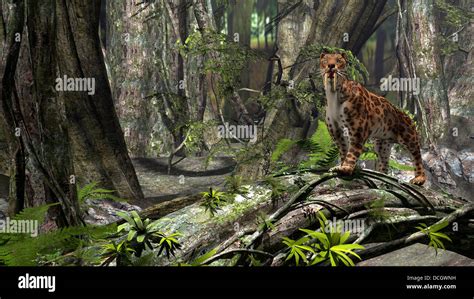 Sabre Toothed Tiger Smilodon Fotografías E Imágenes De Alta Resolución