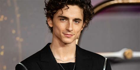 Timothée Chalamet Fue Elegido El Hombre Más Bello Del Mundo El Litoral