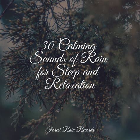 30 Calming Sounds Of Rain For Sleep And Relaxation Album By Rain Man