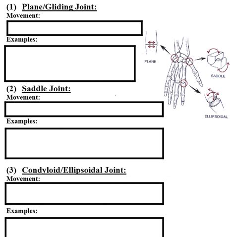 Solved (1) Plane/Gliding Joint: Movement: Examples: II PLANE | Chegg.com