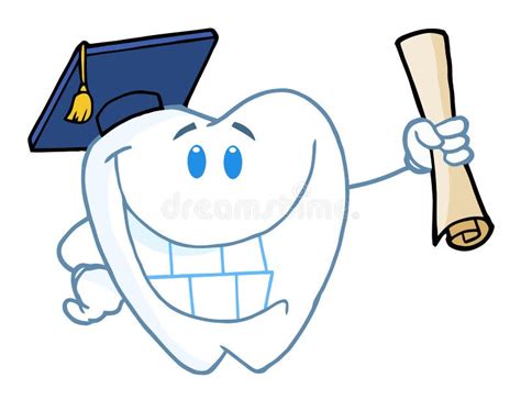 Tooth Graduate Stock Vector Illustration Of Dental Enamel