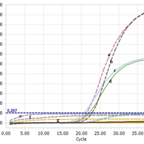 The Feasibility Of The One Step Real Time Taqman Rt Pcr Method Ibdv