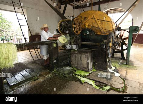 Tecoh Yucatan Mexico 2019 Demonstration Of The Traditional Method