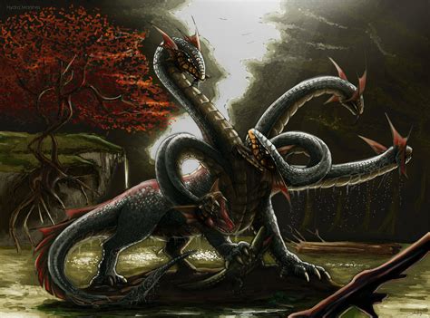 Hydra Marshes 001 By Shafiqur On Deviantart