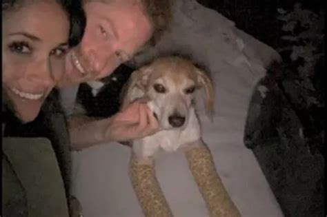 Meghan Markle gives rare look inside Lilibets nursery in new