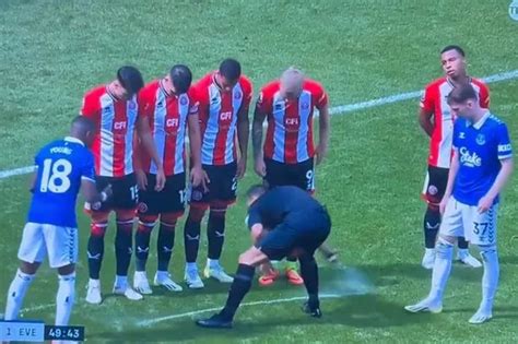 Abysmal Use Of Referee S Spray Leaves Everton S Sean Dyche With Head