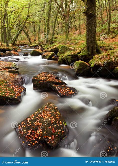 Autumn Leaves On Rocks In Stream Stock Photo Image Of Falls Natural