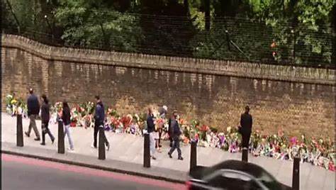 Ronni Ancona 2023 Free Porn Star Videos XHamster