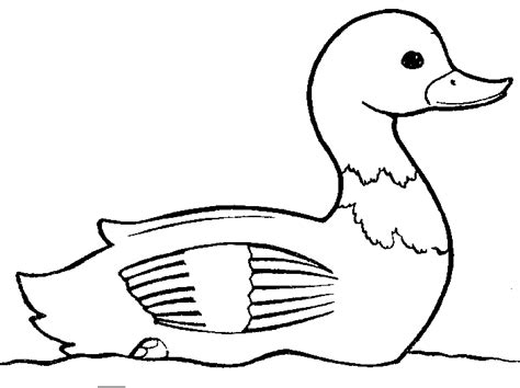 Free Duck Clipart Black And White, Download Free Duck Clipart Black And ...