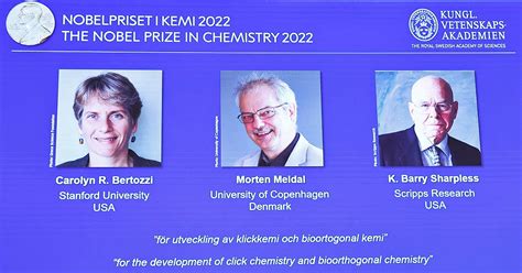 Nobel Per La Chimica 2022 A Bertozzi Meldal E Sharpless