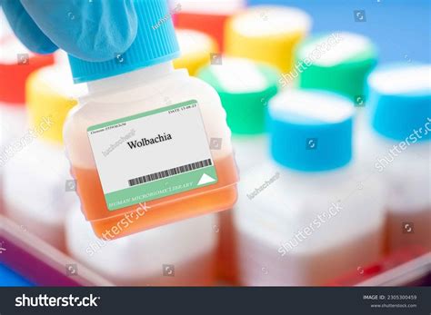 Wolbachia Bacteria: Over 2 Royalty-Free Licensable Stock Photos ...