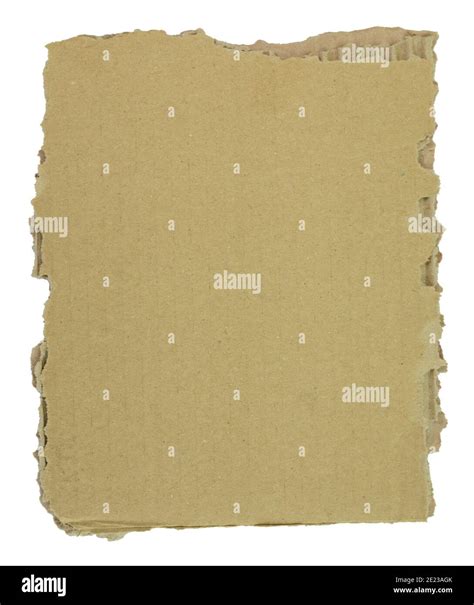 Cardboard Torn Edge Cardboard Background Isolated On White Piece Of