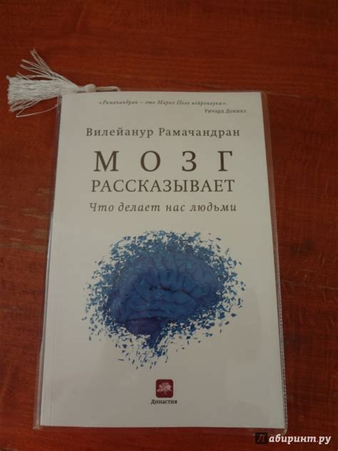 Книга: Мозг рассказывает. Что делает нас людьми - Вилейанур Рамачандран ...