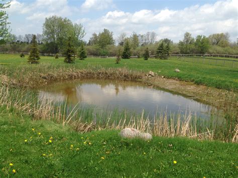 Backyard pond bank stabilization Michigan, Howell