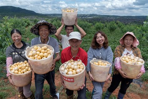 拼多多推农产品“原产地直发” 助力乡村振兴央广网