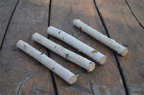 Birch Bundle Logs Of White Birch Logs Rustic Craft Supply Etsy Canada