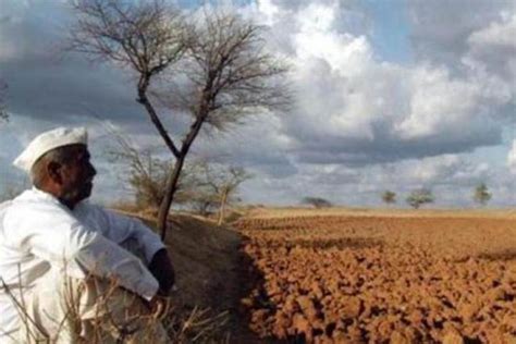 Maharashtra Farmers Whose Crop Loan Exceeds Rs 2 Lakh Ineligible For