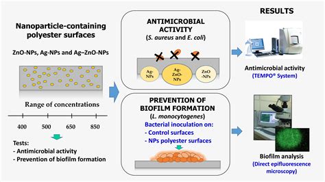 Foods Free Full Text Antimicrobial Activity And Prevention Of