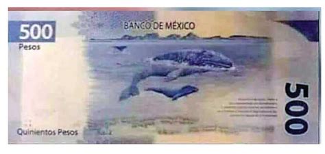 Se Adelantan A Banxico Y Lanzan En Redes Nuevo Billete De 500 Pesos