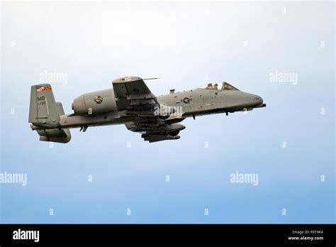 A10 Warthog Hi Res Stock Photography And Images Alamy